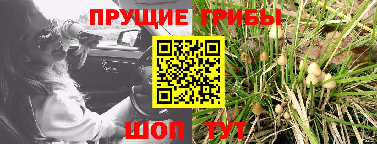 Галлюциногенные грибы MAGIC MUSHROOMS Тихвин