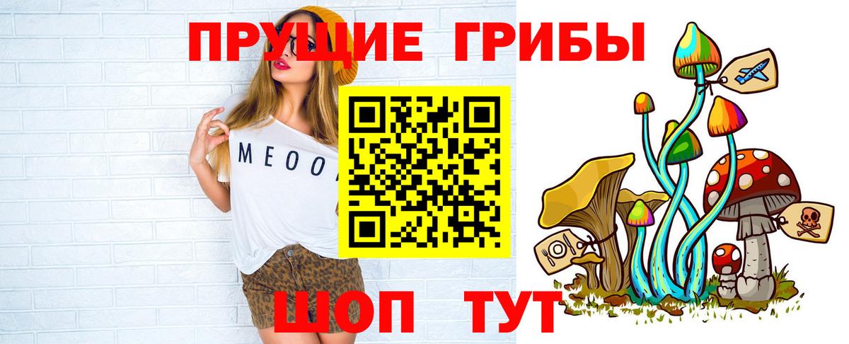 Тихвин  что такое наркотик  Вход с VPN  Псилоцибиновые грибы прущие грибы 